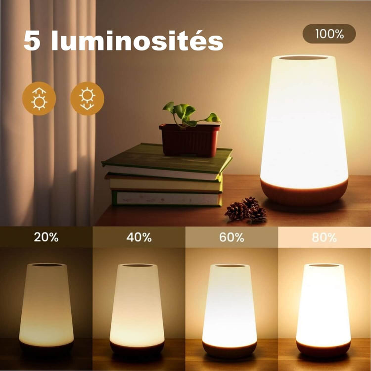 Ingénieuse lampe magique, 5 niveaux de lumière blanche chaude, 13 couleurs, luminosité réglable, 256 ambiances, télécommande, en mode batterie rechargeable ou branchée via USB. Voilà la petite lampe parfaite. La livraison est offerte !